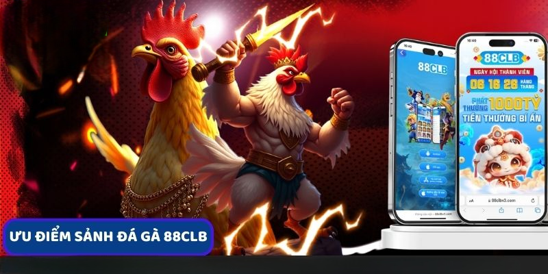 Đá Gà 88clb – Đỉnh Cao Đấu Trường Chiến Kê Khốc Liệt